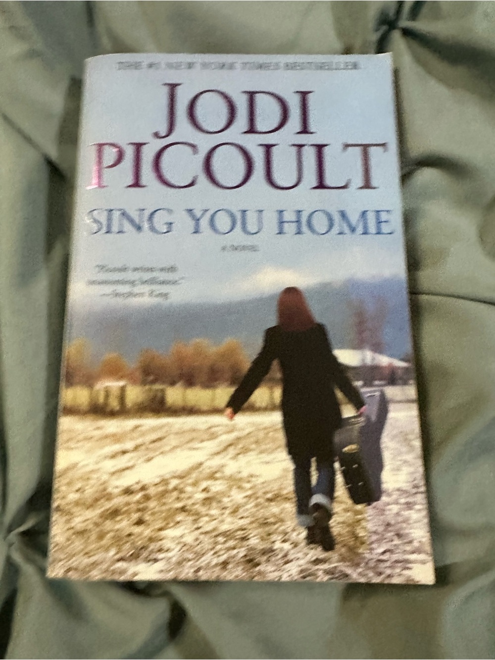 📚4 FOR $30 BOOK SALE- Jodi Picoult - Sing You Home